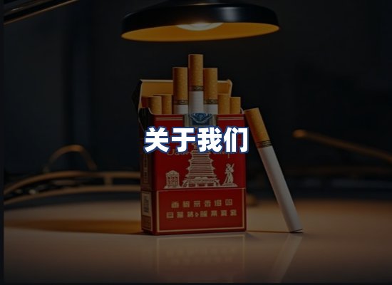 关于我们